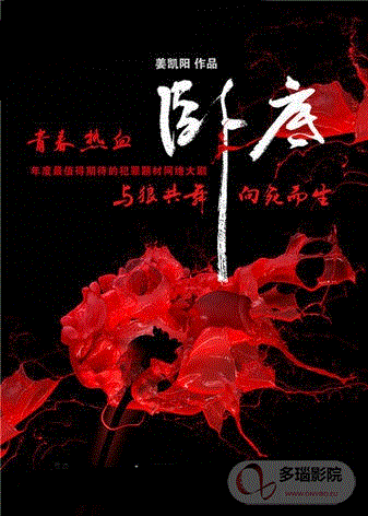 卧底第1季