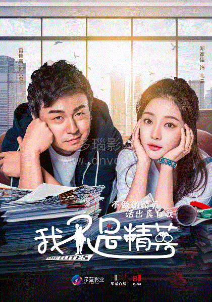 我不是精英网络版