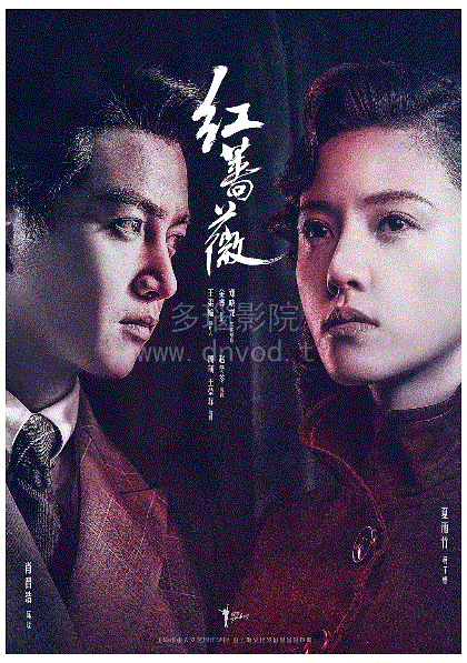 红蔷薇网络版