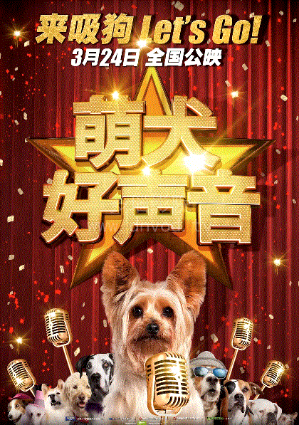 萌犬好声音1