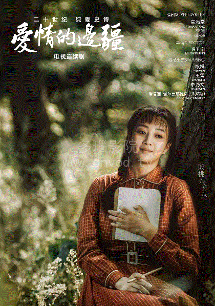 爱情的边疆网络版