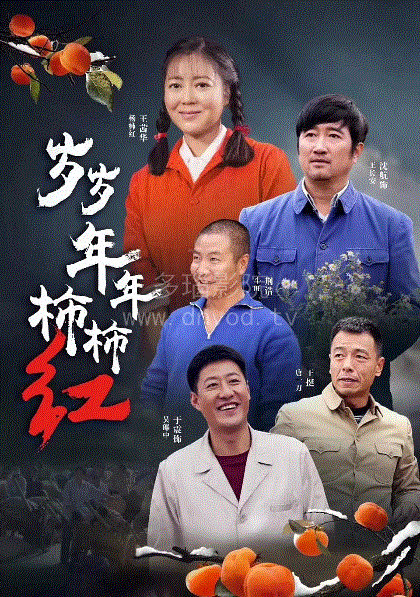 岁岁年年柿柿红
