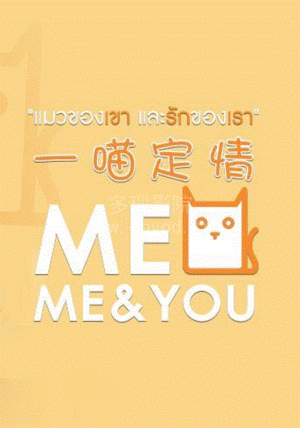 一喵定情
