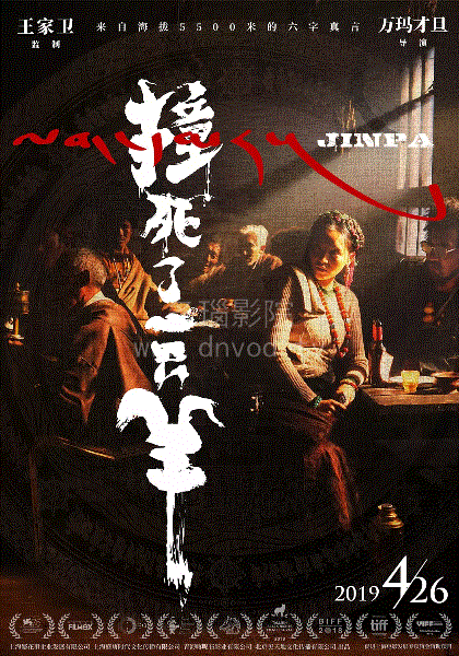 撞死了一只羊