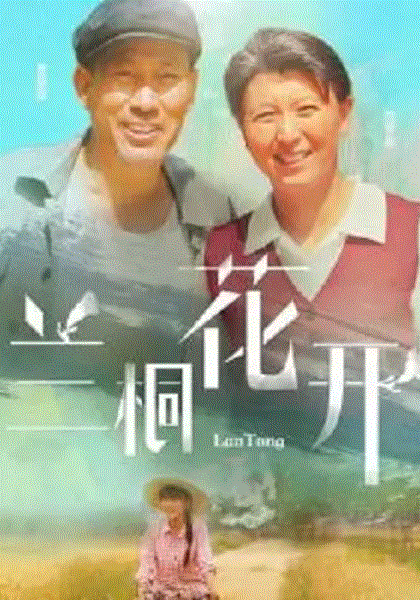 兰桐花开