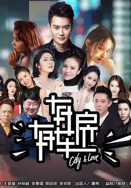 有房有车第2季