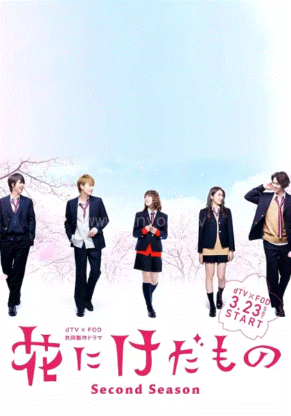 花予野兽第2季