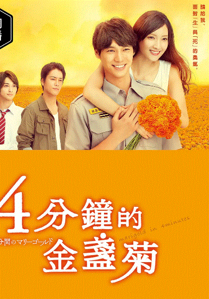四分钟的金盏菊
