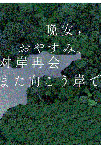 晚安，对岸再会