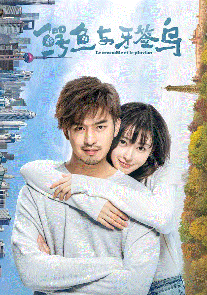 鳄鱼与牙签鸟网络版