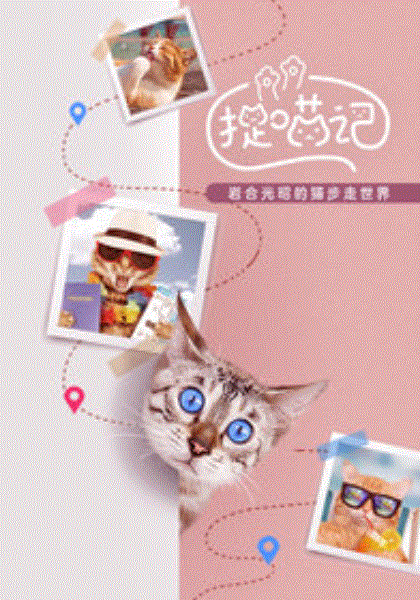 捉喵记