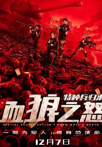 特种兵归来1