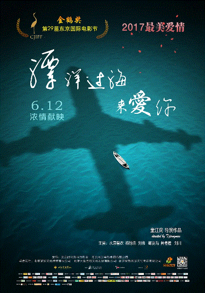 漂洋过海来爱你