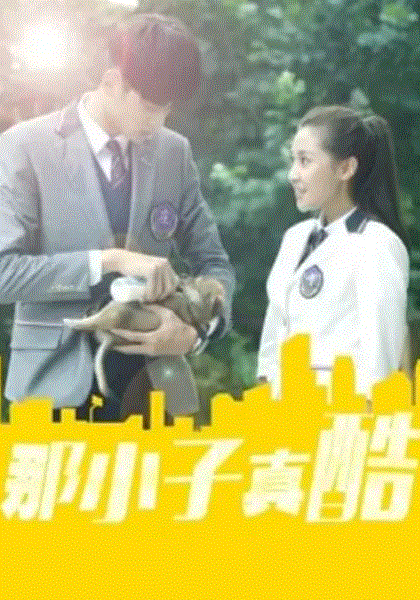 那小子真酷第2季