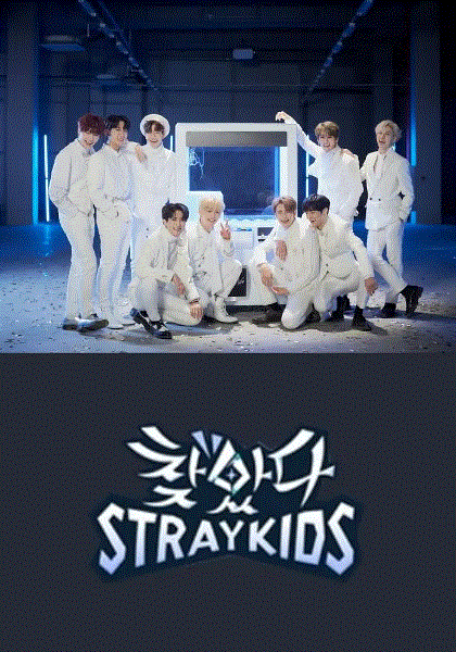 找到了Stray Kids 最新篇