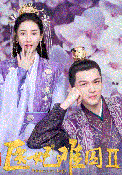 医妃难囚第2季