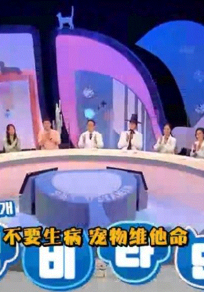 宠物维他命
