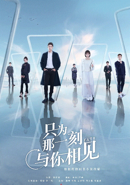 只为那一刻与你相见网络版