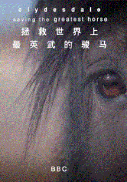 拯救世界上最英武的骏马