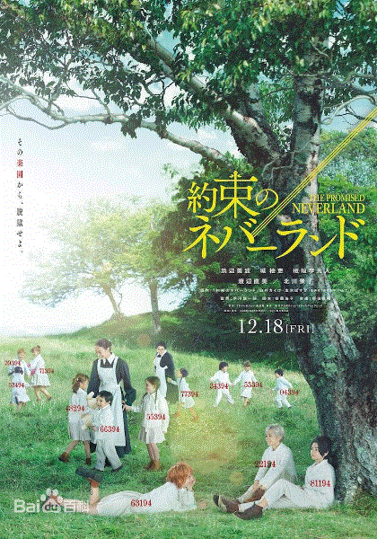 约定的梦幻岛