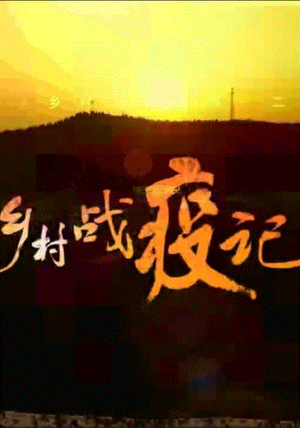 乡村战役记