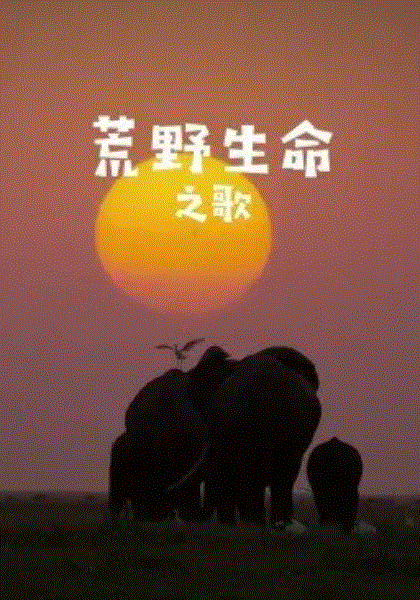 荒野生命之歌