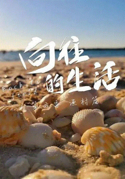 向往的生活第6季Plus版