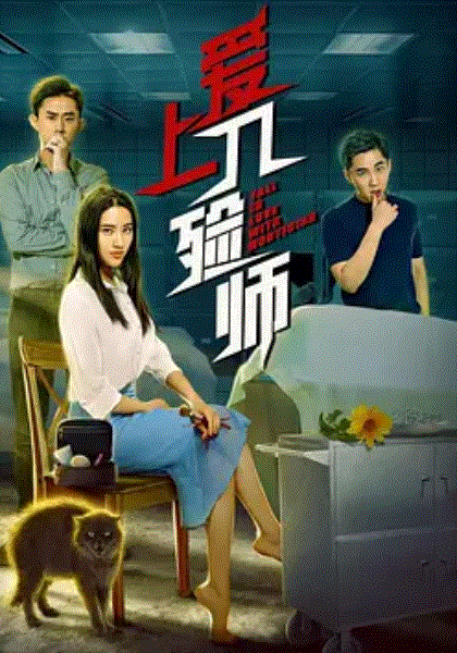 爱上入殓师