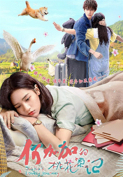 何加加的桃花源记