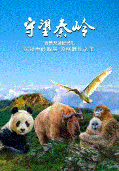 守望秦岭