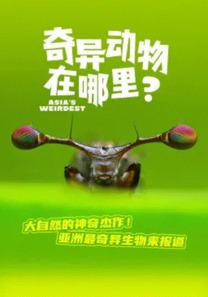 奇异动物在哪里?