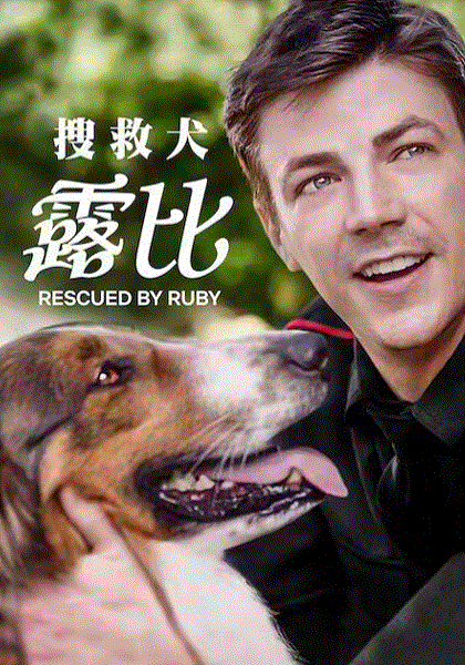 义犬救主