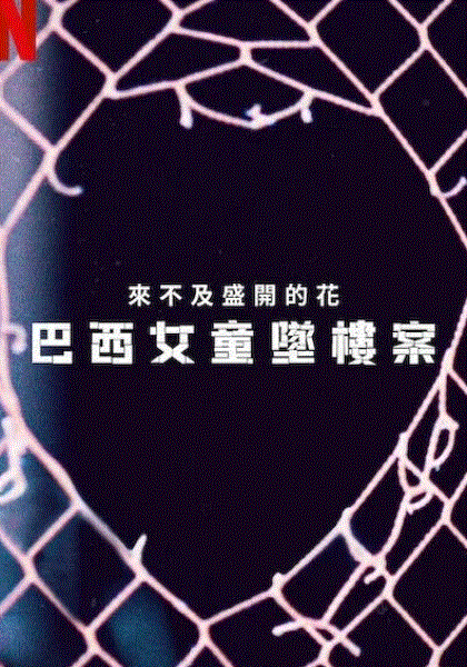 来不及盛开的花:巴西女童坠楼案