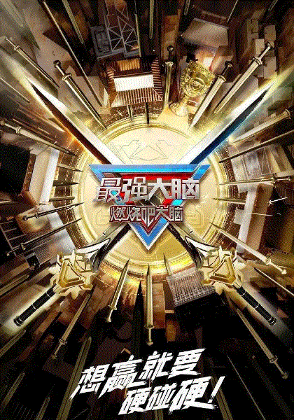 最强大脑第10季
