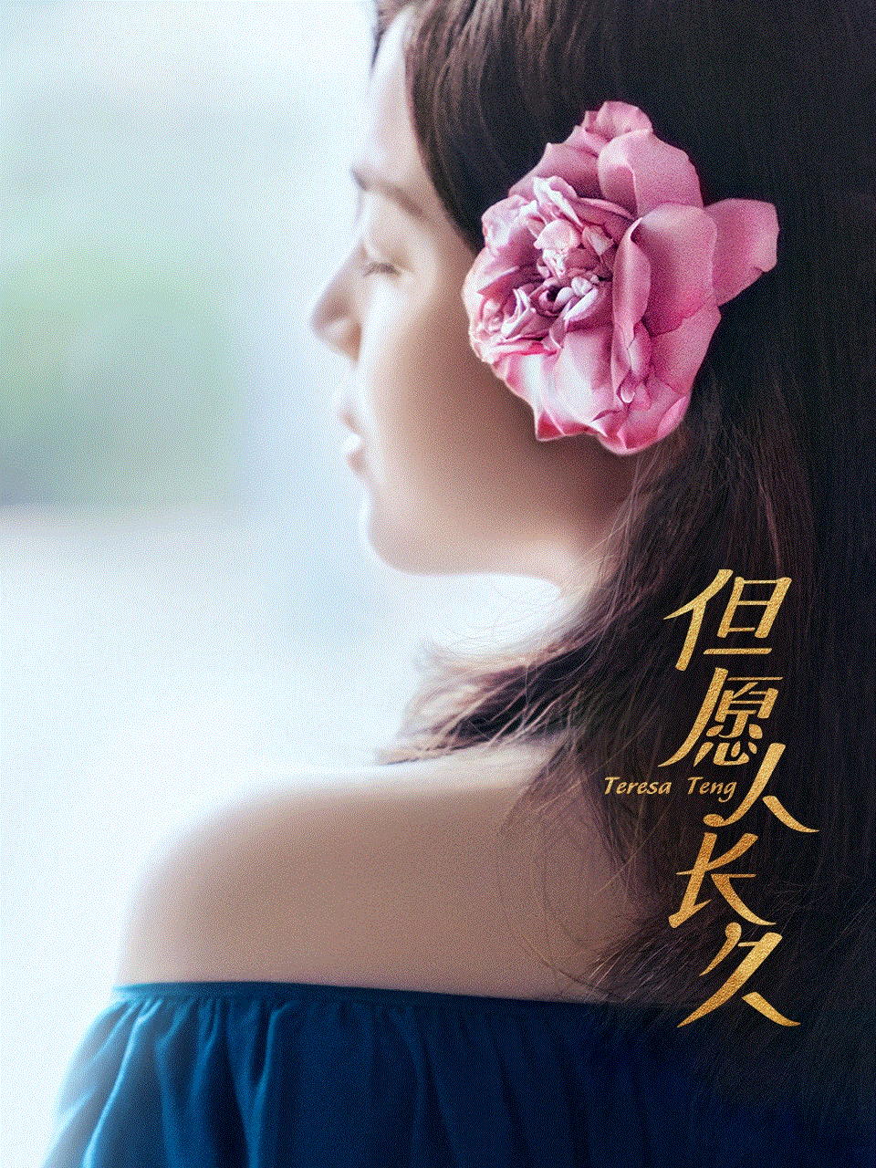 但愿人长久