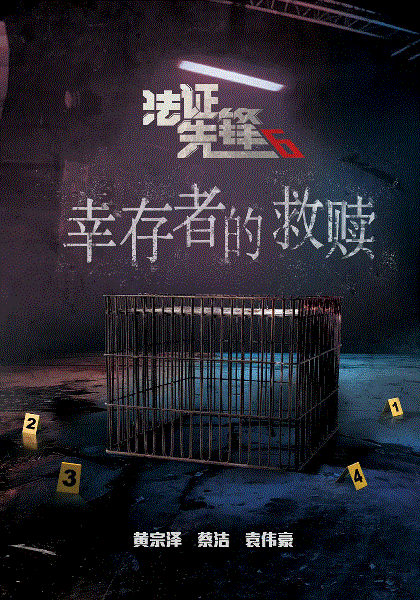 法证先锋6(粤)