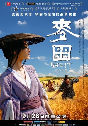 麦田