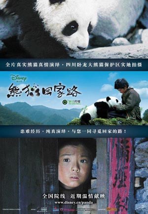熊猫回家路
