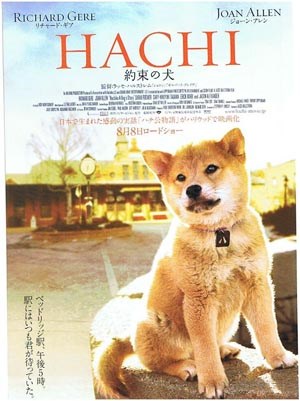 忠犬八公的故事