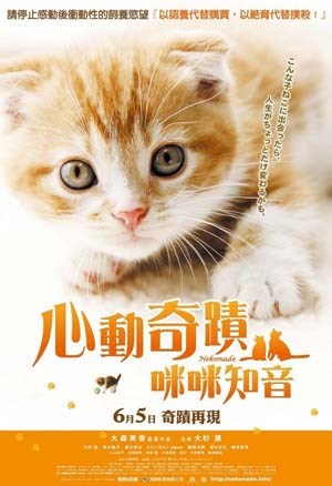 小猫奇缘
