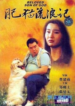 肥猫流浪记
