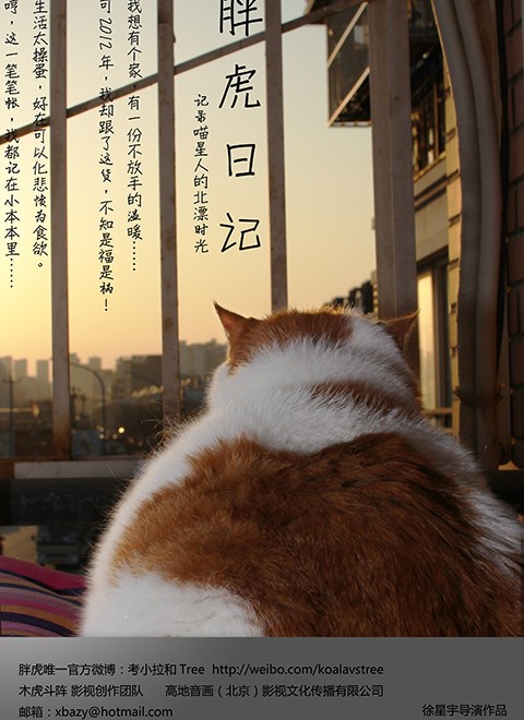 胖虎日记