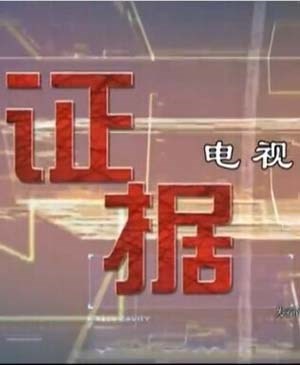 证据 田振崴版