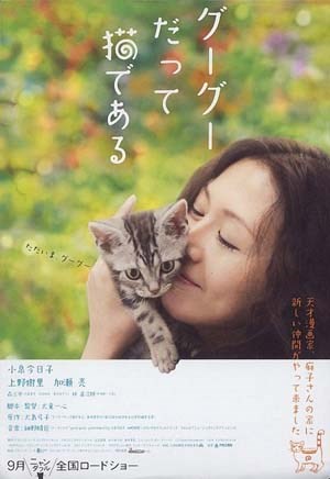咕咕是一只猫