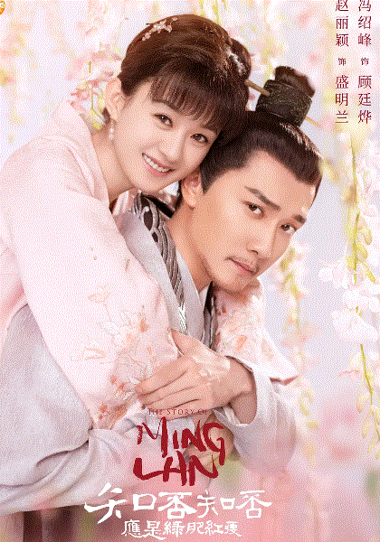 知否知否应是绿肥红瘦网络版